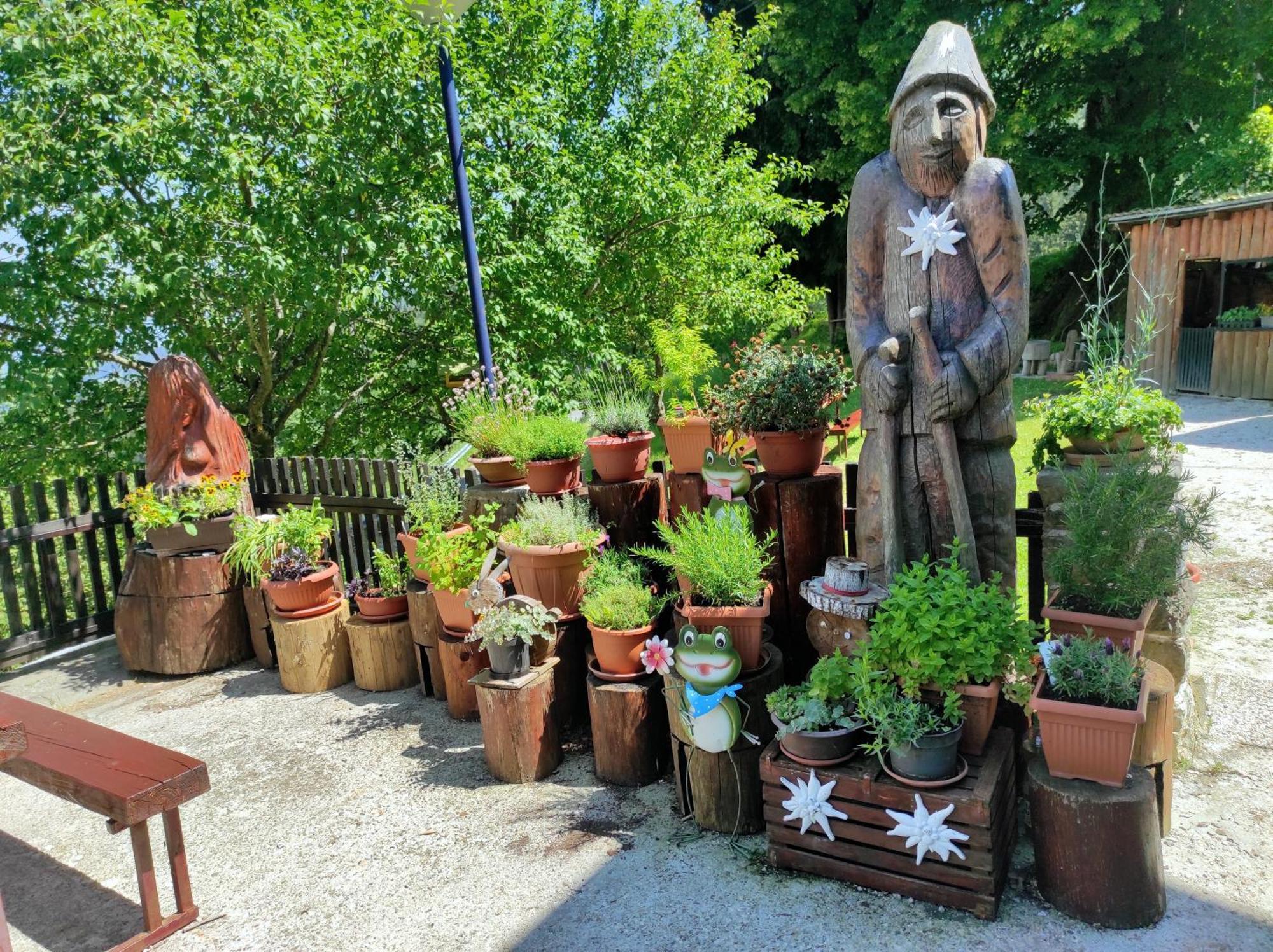 Smucarska Koca Bed and Breakfast Kotlje Eksteriør billede