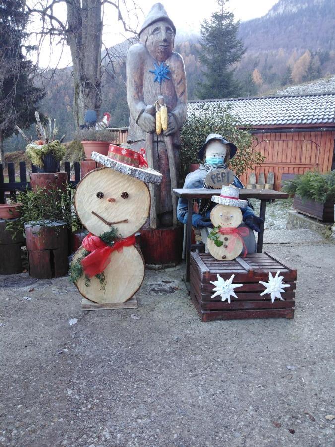 Smucarska Koca Bed and Breakfast Kotlje Eksteriør billede