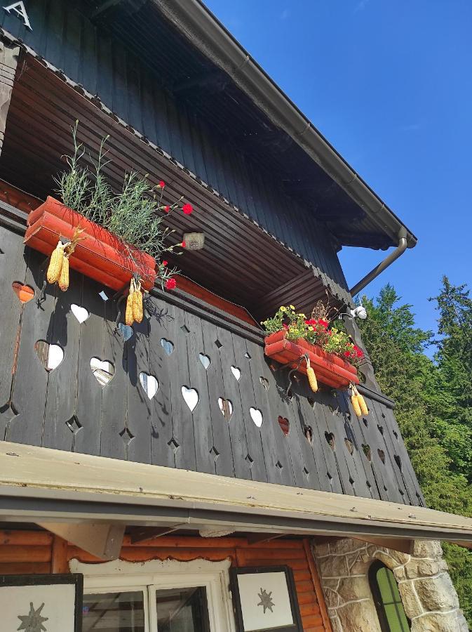 Smucarska Koca Bed and Breakfast Kotlje Eksteriør billede